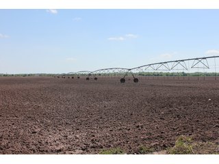 Property photo 53 - LAND AUCTION - 1,371+/- ACRES OFFERED IN 25 TRACTS IN GOLDSBY, OKLAHOMA